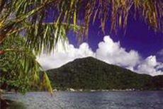 Pago Pago Island Tour cruise excursion